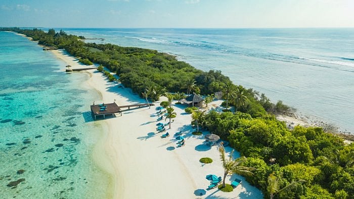 Representative Image. Credit: iStock Photo