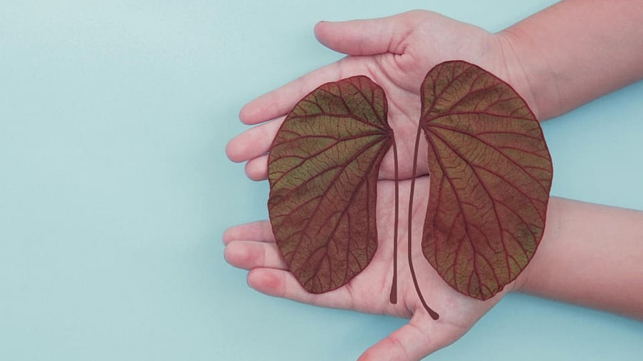 Representative image. Credit: iStock photo