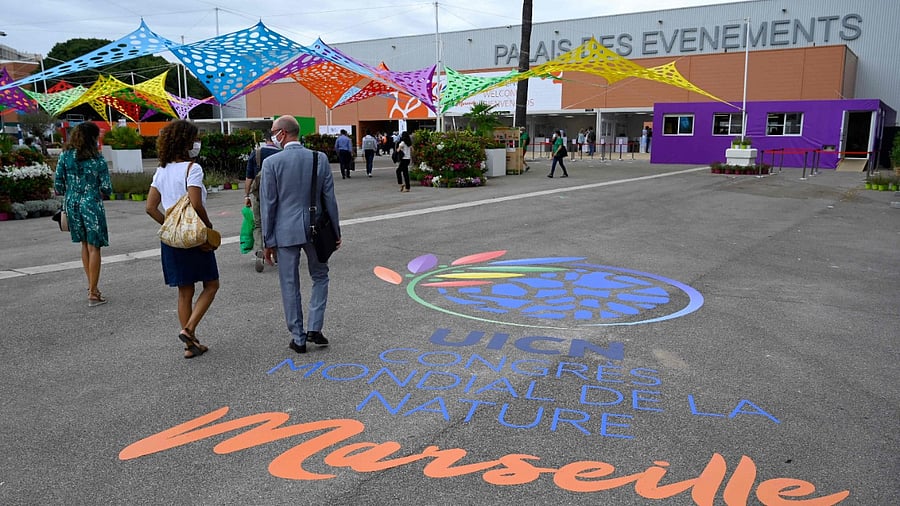 The IUCN World Congress will drive action on nature-based recovery, climate change and biodiversity. Credit: AFP Photo