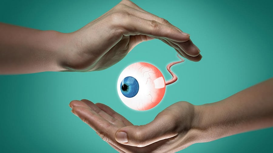 Representative Image. Credit: iStock Photo