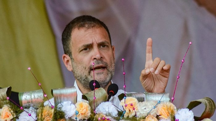 Congress leader Rahul Gandhi. Credit: PTI Photo