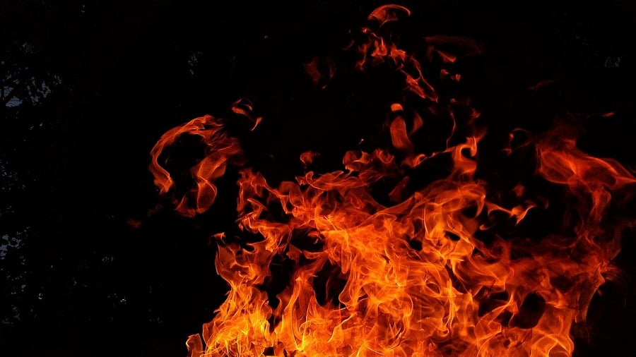 Representative image. Credit: Pixabay Photo