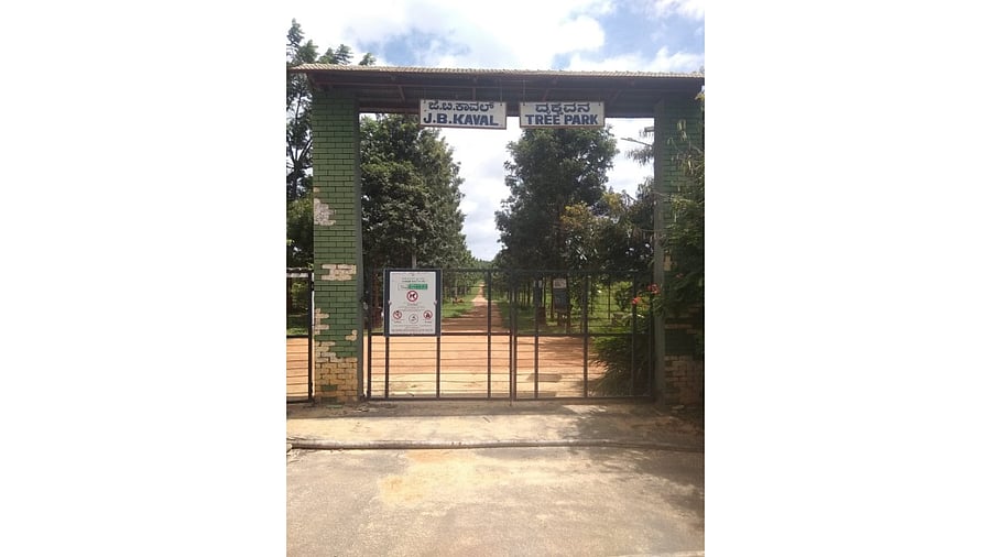 An official who dug up the history of Jarakabande Lake said it was a classic case of land-grab. Credit: DH Photo