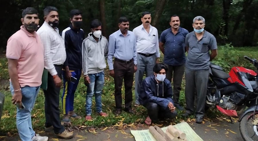 Forest squad officials with the accused.