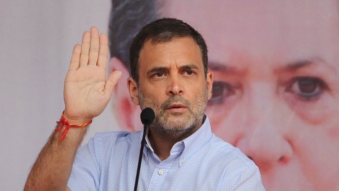Congress leader Rahul Gandhi. Credit: PTI photo