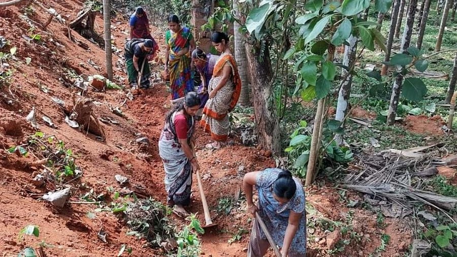 Representative image. Credit: DH File Photo