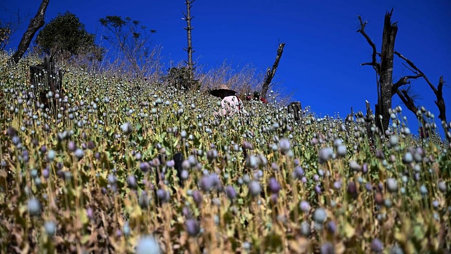 Representative image. Credit: AFP file photo