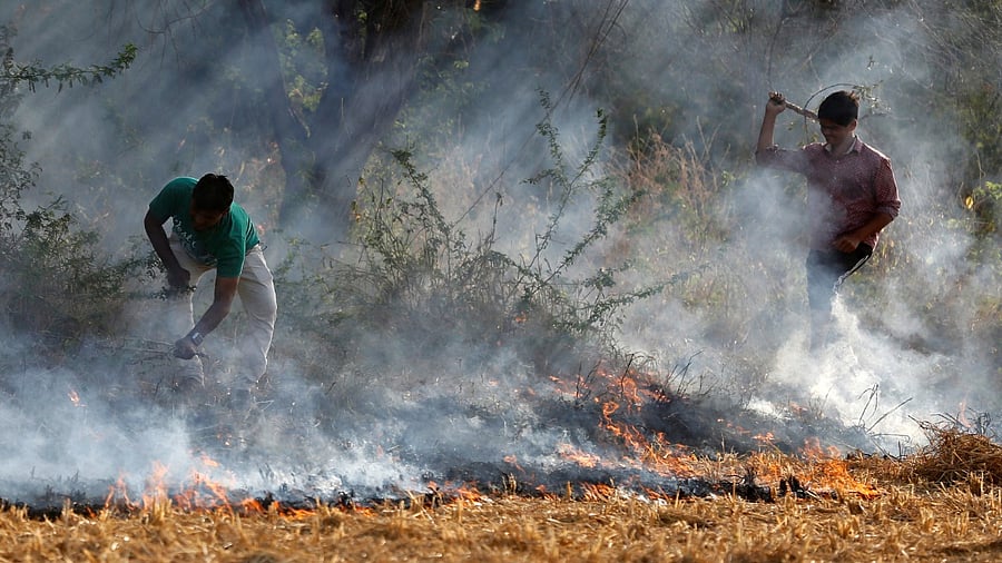 Despite a few counter-measures taken by the governments, the impacts of such interventions are far too less when compared against the scale of the problem. Credit: Reuters File Photo