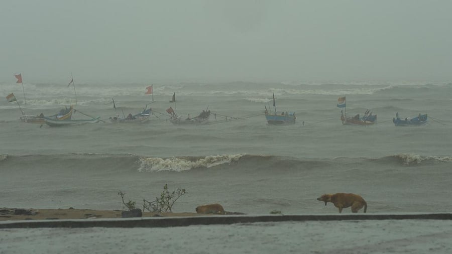 Representative Image. Credit: AFP Photo