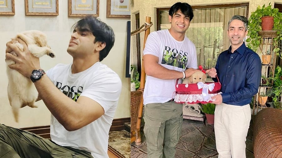 Bindra said it was a pleasure to meet and interact with India's golden man. Credit: Twitter Photo/@Neeraj_chopra1