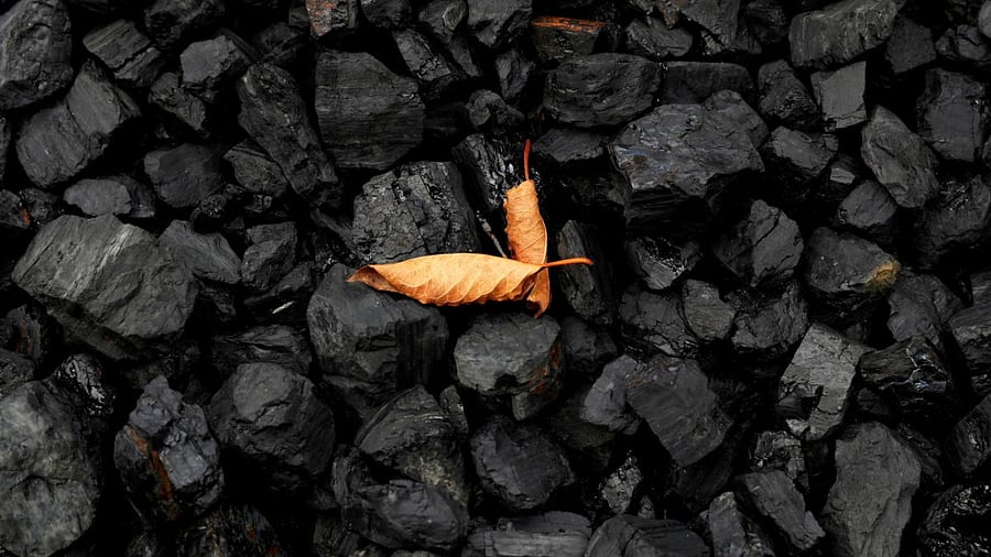 Representative image. Credit: Reuters File Photo