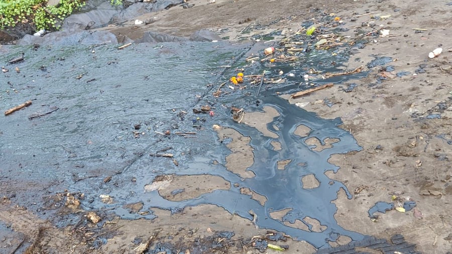 Credit: NatConnect Photo