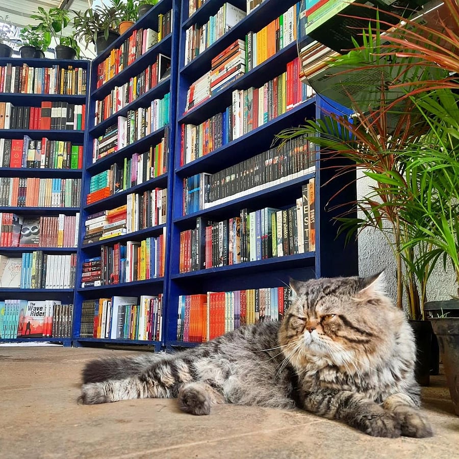 Walking BookFairs hopes to make booksmore accessible to people.