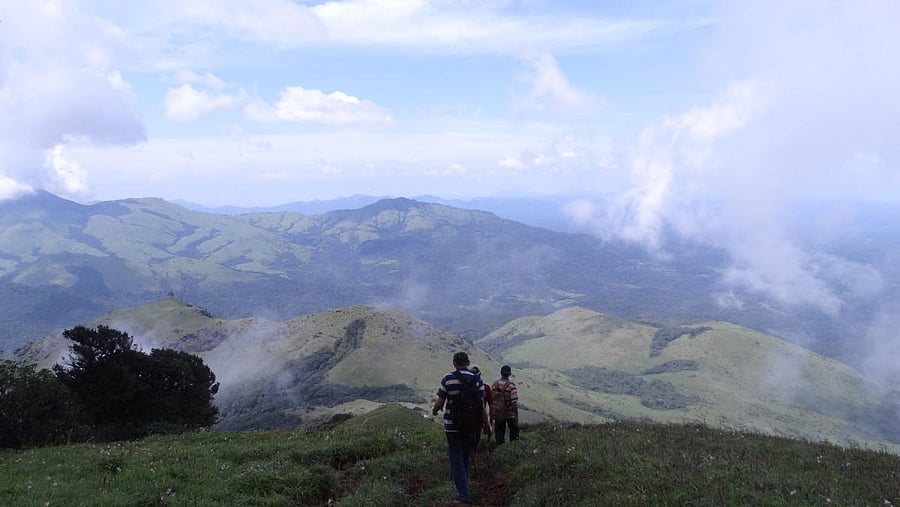 Trekkers head towards Tadiyandamol hills. DH FILE PHOTO