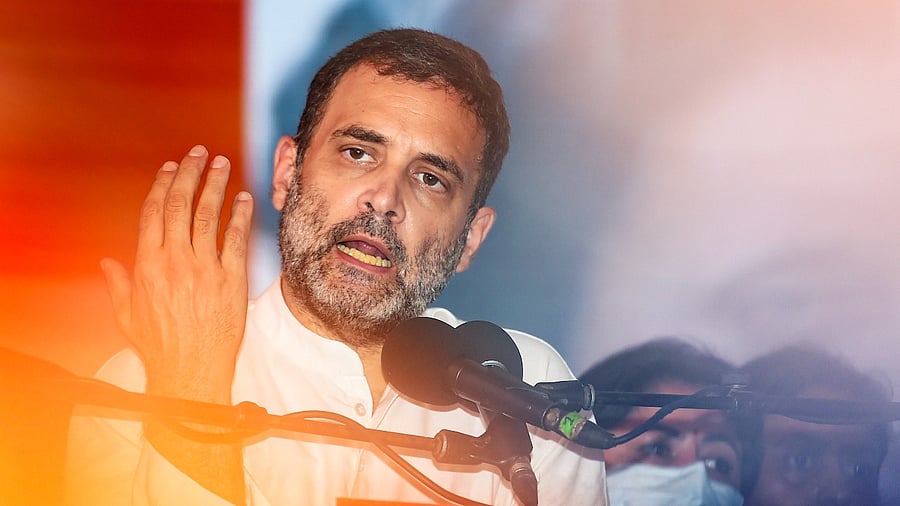 Congress MP from Wayanad Rahul Gandhi. Credit: PTI File Photo