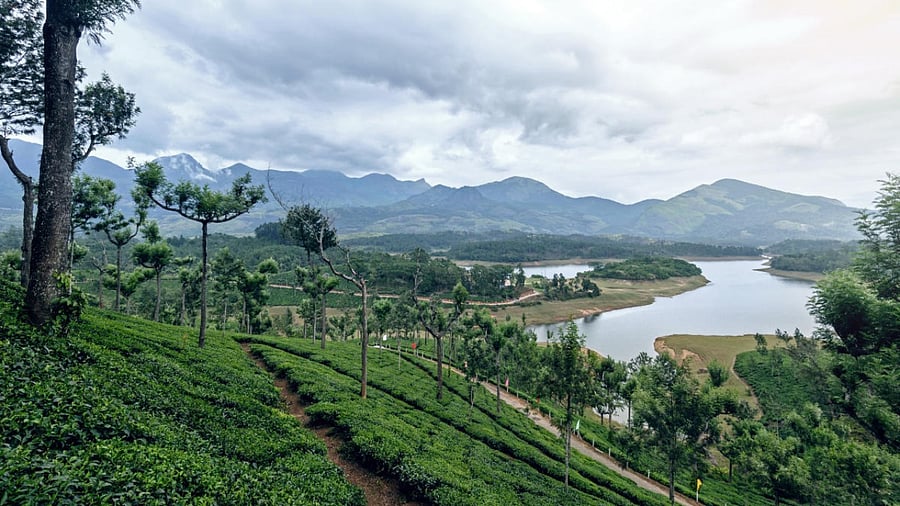 Representative Image. Credit: Getty Images