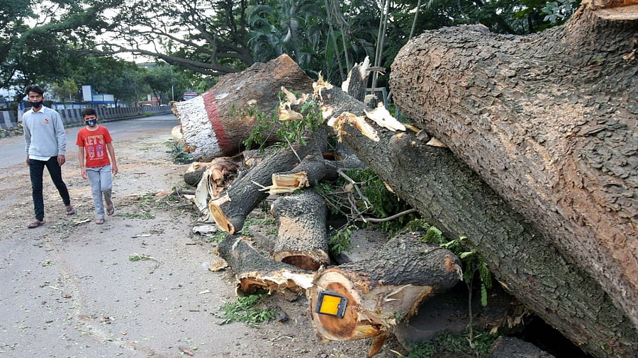 Representative Image. Credit: DH File Photo