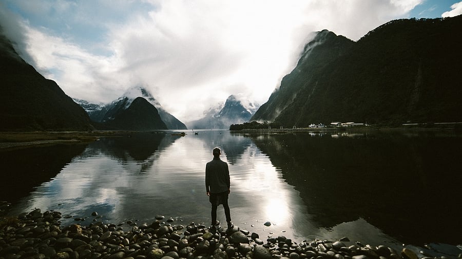 Representative Image. Credit: Unsplash Photo