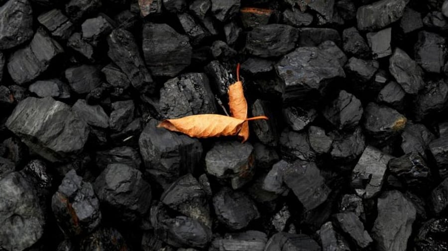 Representative image. Credit: Reuters File Photo