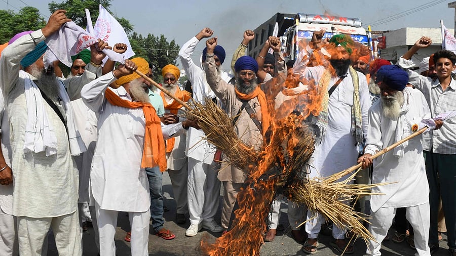 While the farmers and the BJP have blamed each other for the killings, a judicial enquiry has been ordered by the UP government to probe the incident. Credit: AFP Photo