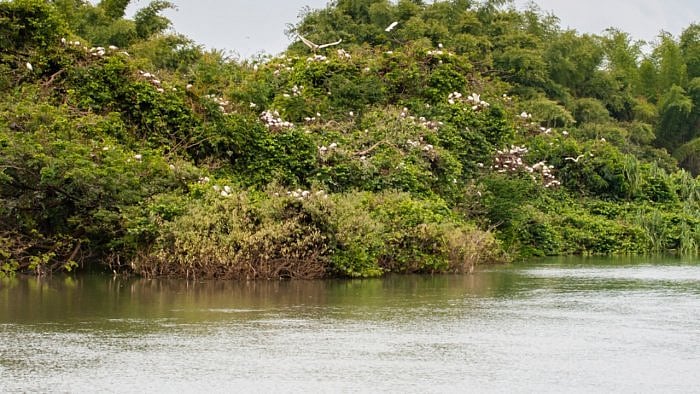 Bank of the River Cauvery at the Ranganathitu sanctuary in Karnataka. Credit: iStock Photo