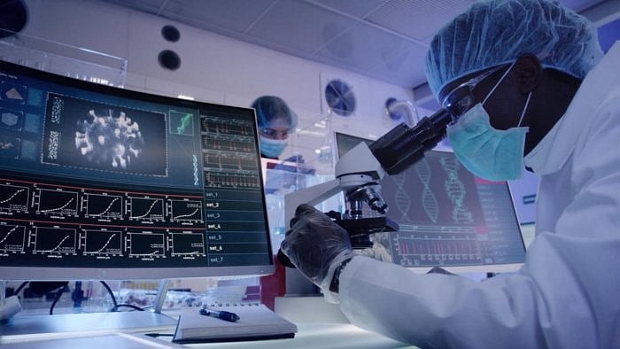 Evidence-based conservation is crucial for tackling the Earth’s biodiversity crisis. Credit: iStock Images