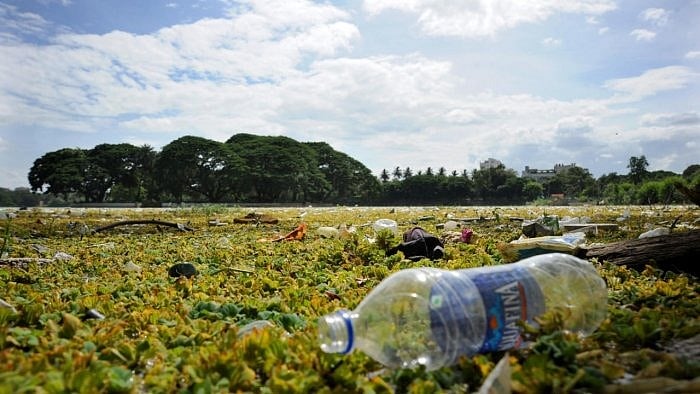 A view of Ulsoor lake in poor condition. Credit: DH Photo