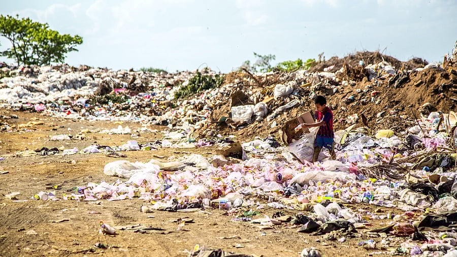 Representative Image. Credit: Unsplash Photo