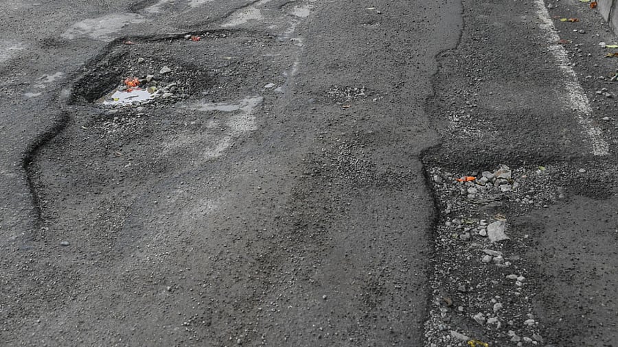 Representative image. Credit: DH Photo