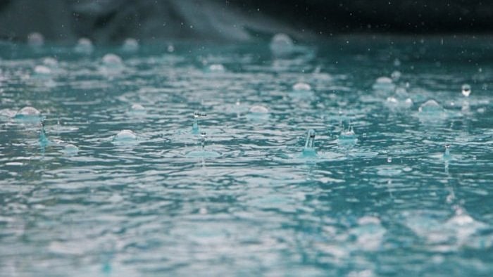 Representative Image. Credit: iStock Photo