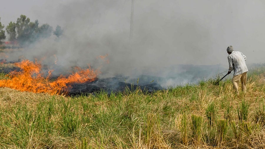 Representative Image. Credit: AFP File Photo