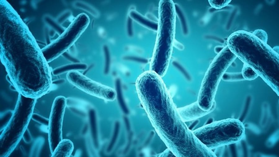 Representative image. Credit: iStock Photo