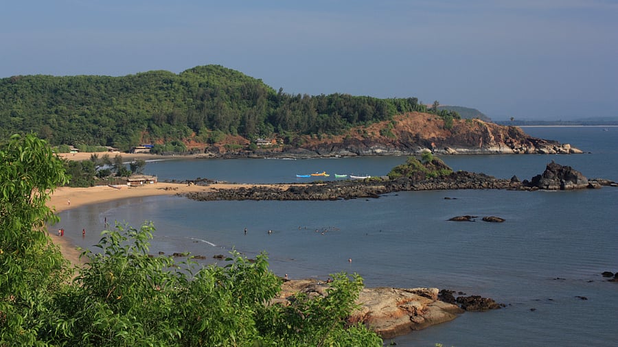 Representative image. Credit: Getty Images