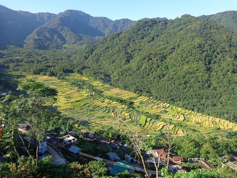 (Clockwise from top) A view of Khanoma village in Nagaland; Angami Naga women; Blyth's Tragopan. Photos by author