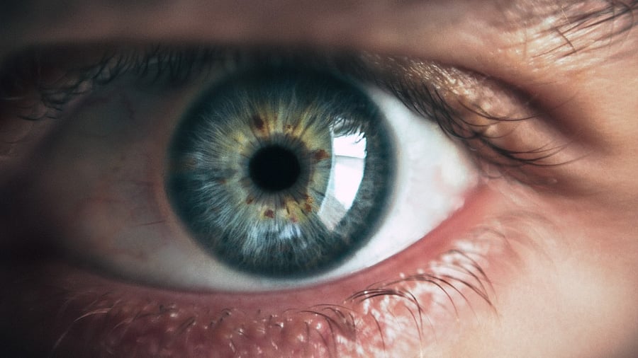 Representative image. Credit: Unsplash Photo