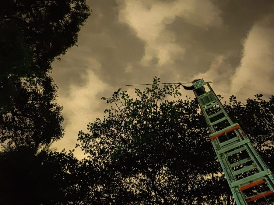 An ARRC volunteer rescued a bird caught in the Chinese Manja dangling from a tree in Ulsoor recently.