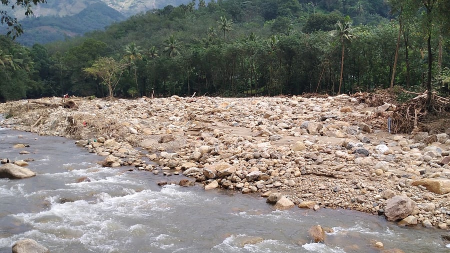 A series of landslides and landslips ravaged the hilly areas of Idukki and Kottayam districts last week. Credit: Special arrangement