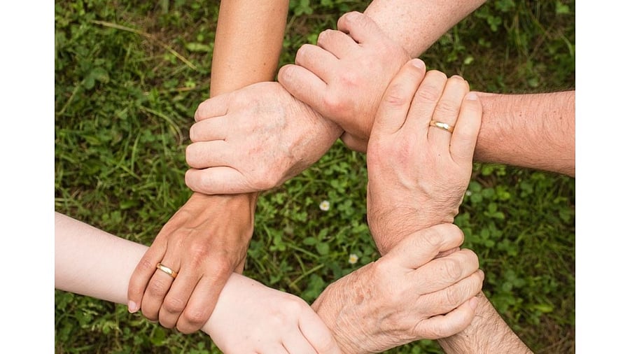 Representative Image. Credit: Pixabay Photo