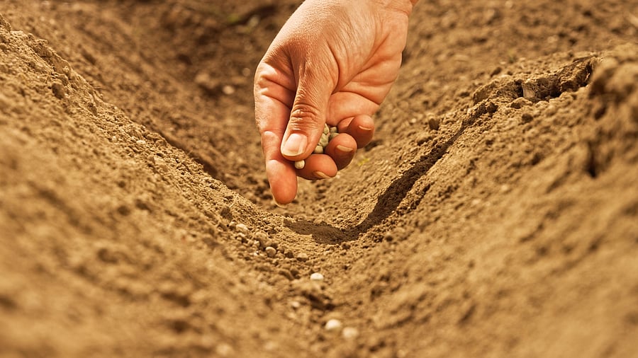 Representative image: iStock Photo