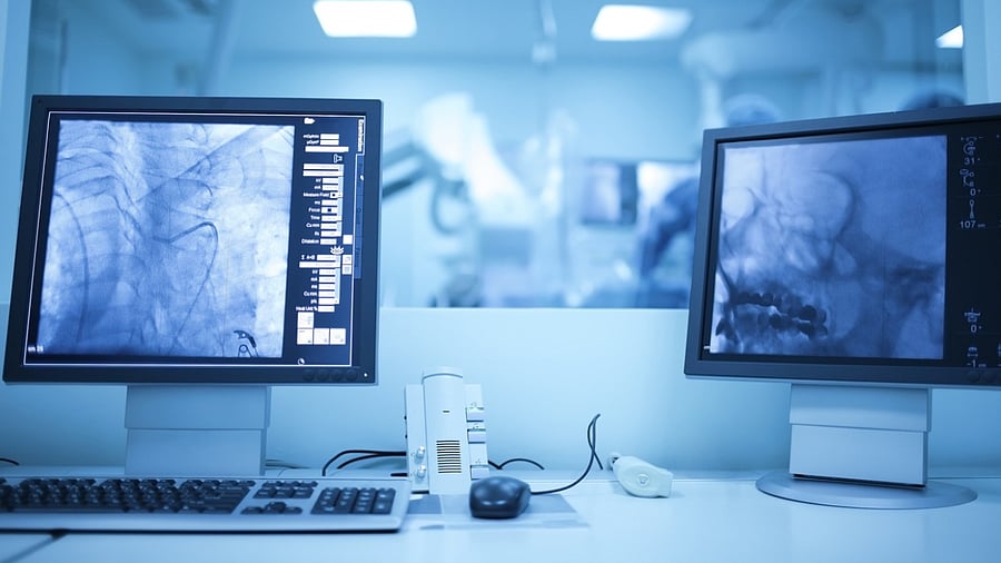 Representative image. Credit: iStock Photo