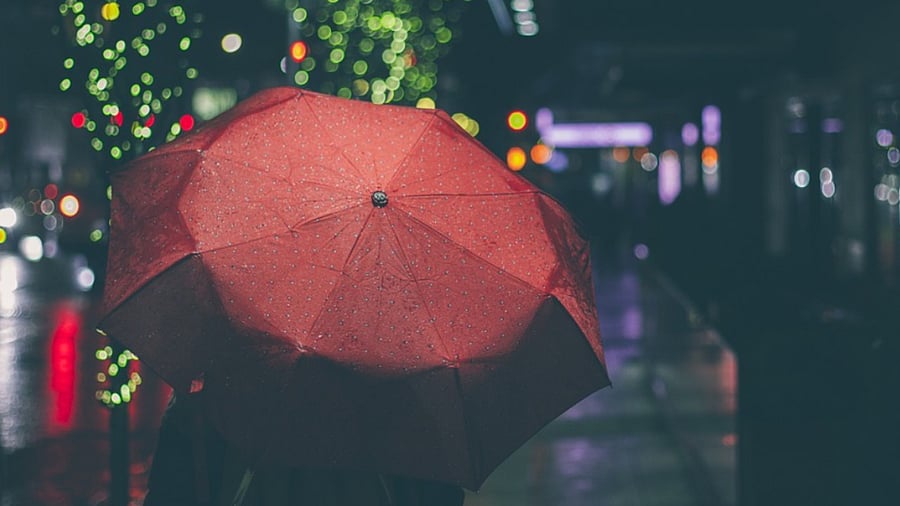 Representative Image. Credit: Pixabay Photo