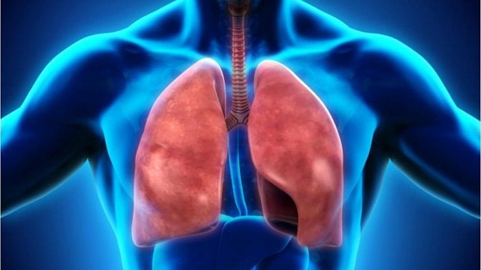 Representative Image. Credit: iStock Photo