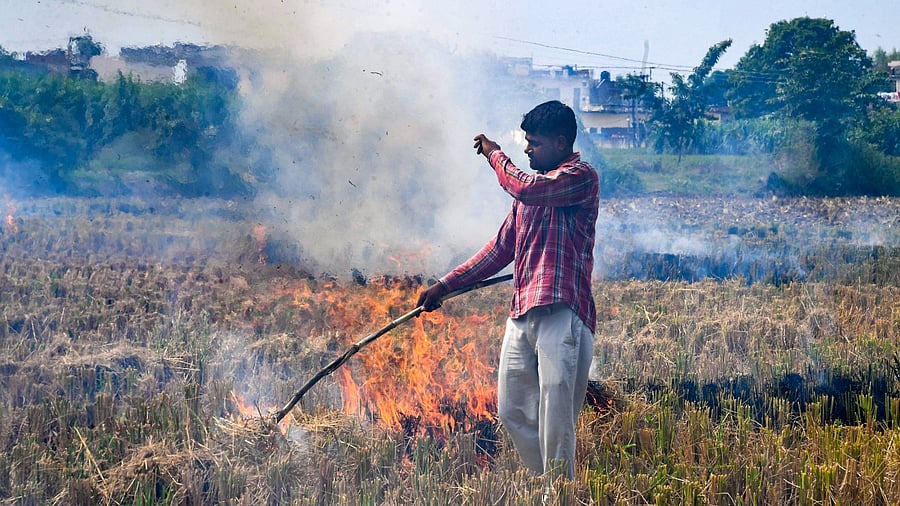 Representative Image. Credit: PTI File Photo