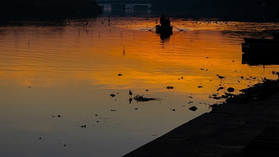 Representative Image. Credit: Pixabay Photo