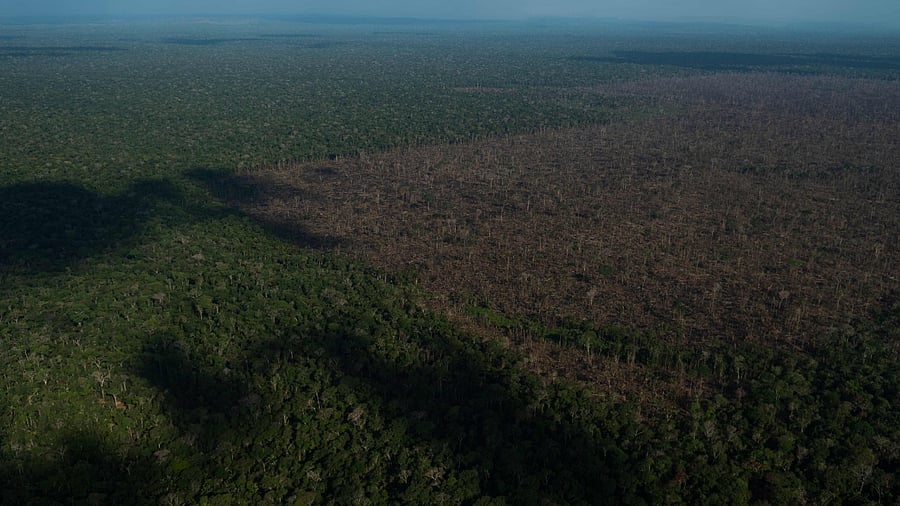 The government estimates there are 4,000 illegal miners operating on indigenous territory in the Amazon, though activists say the figure is much higher. Credit: AFP Photo
