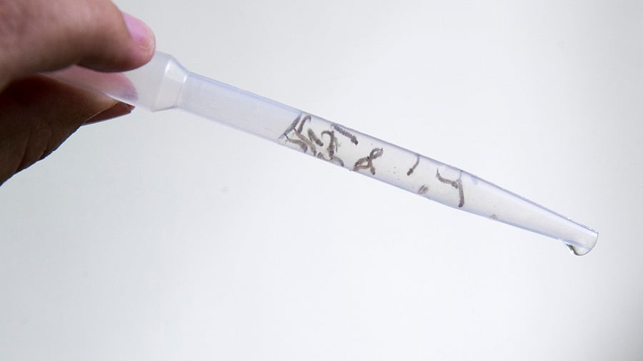 Representative Image. Credit: AFP Photo