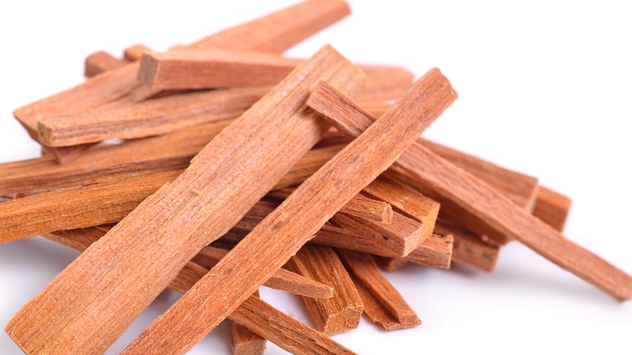 <div class="paragraphs"><p>Photo for representational purpose</p></div>