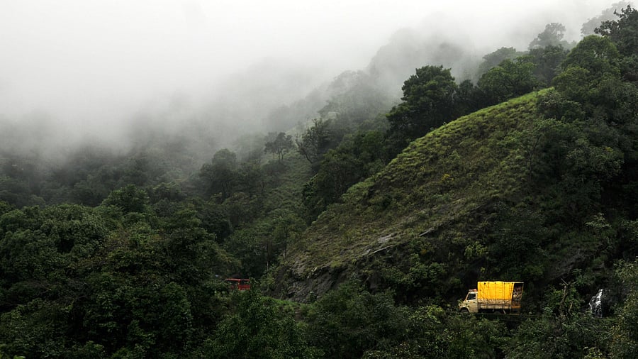 Wildlife (Protection) Act, 1972 is being suggested to rearrange the list of species in different schedules for convenience. Credit: DH Photo