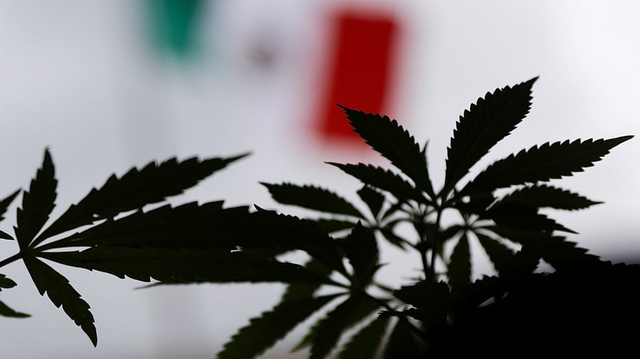 Representative image. Credit: Reuters Photo