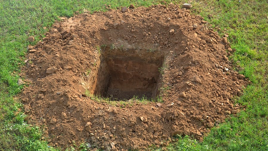 Representative Image. Credit: iStock Photo